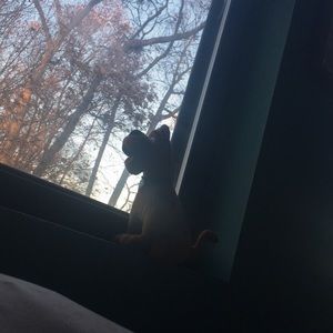 Meet your Posher, Mariah